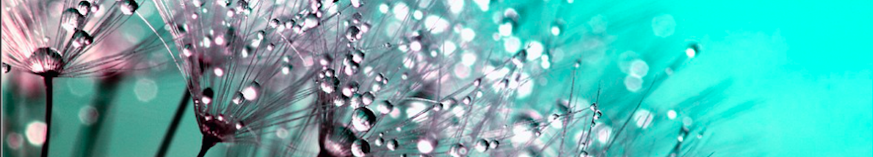 Zrzut ekranu 2019-03-11 o 17.24.15